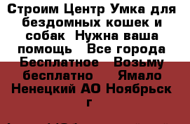 Строим Центр Умка для бездомных кошек и собак! Нужна ваша помощь - Все города Бесплатное » Возьму бесплатно   . Ямало-Ненецкий АО,Ноябрьск г.